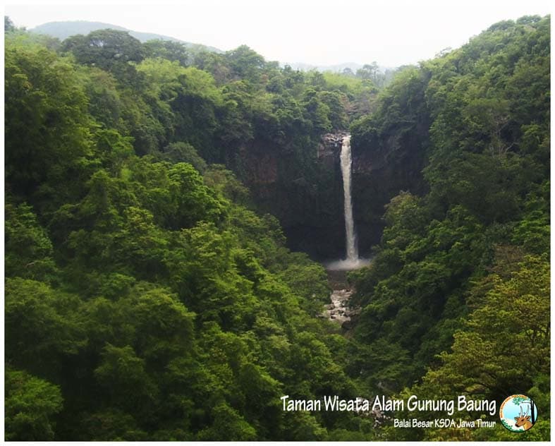 Merananya Gunung Baung - Thumbnail 2
