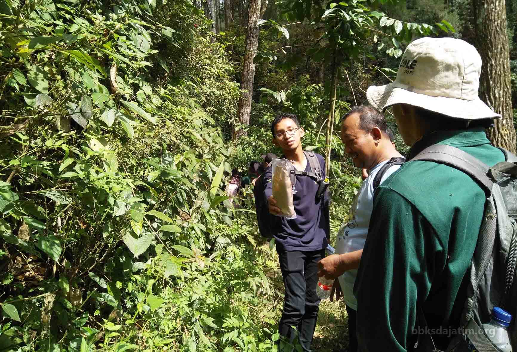 Mencari Penawar di Sigogor