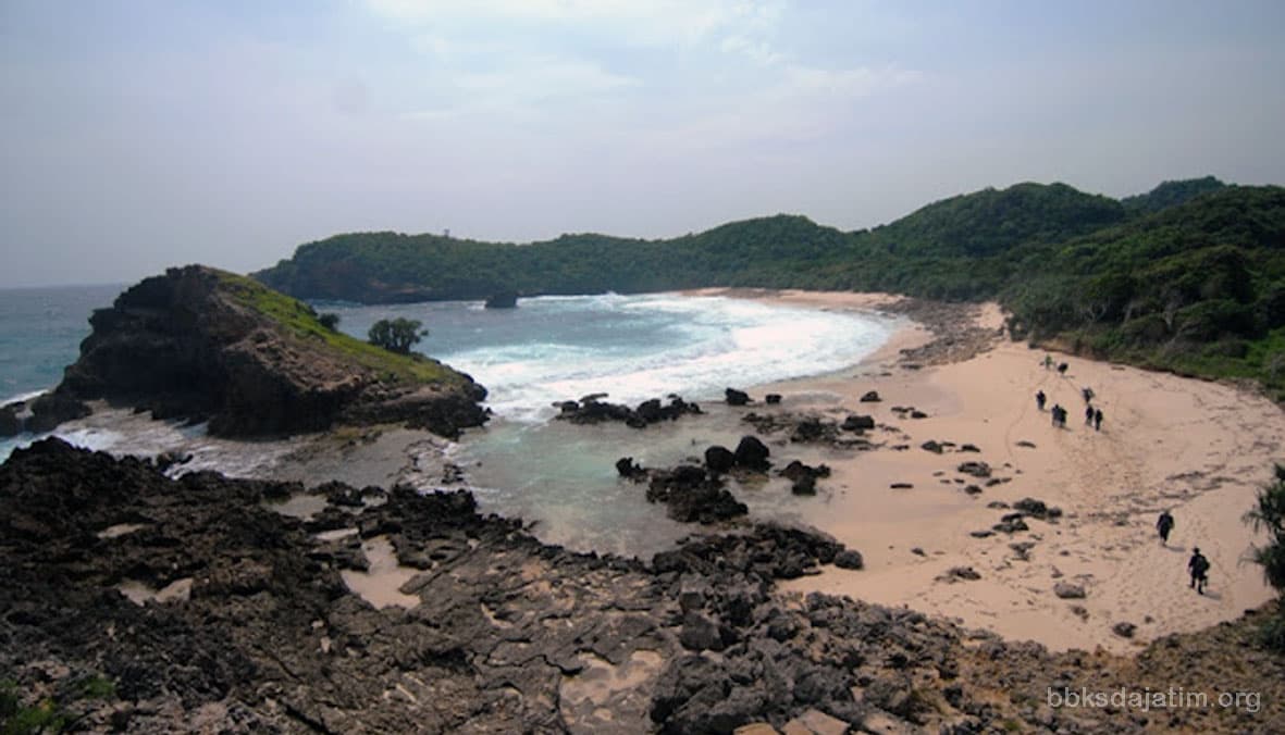 Nusa Barung, Suaka Margasatwa Bercitarasa Cagar Alam