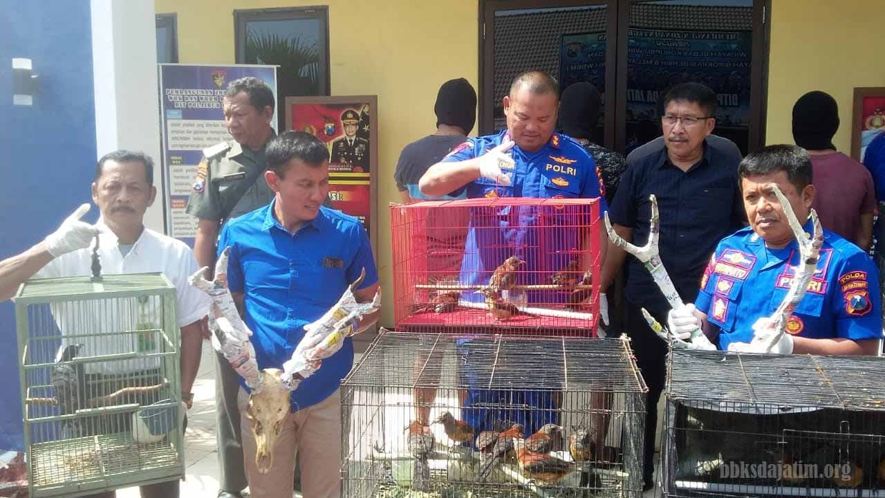Kembali, Pengiriman Ratusan Burung Digagalkan di Tanjung Perak