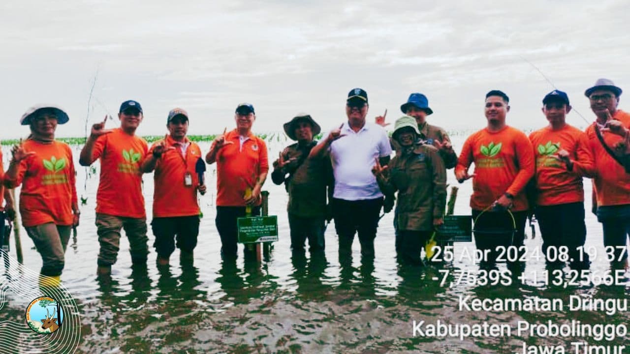 Tanam Serentak Mangrove, Ingatkan Pentingnya Ekosistem Mangrove - Thumbnail 1