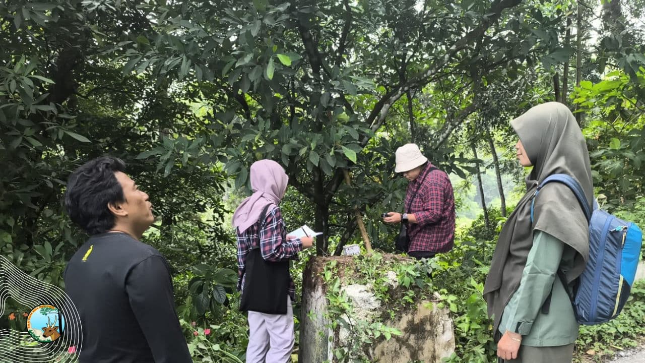 Pemeriksaan Pal Batas Konsesi : Satu Pal Hilang, BBKSDA Jatim Instruksikan Penggantian