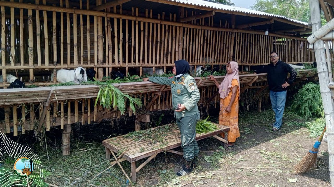 Peternakan Desa Penyangga : Putra Lestari Maju dan Mandiri
