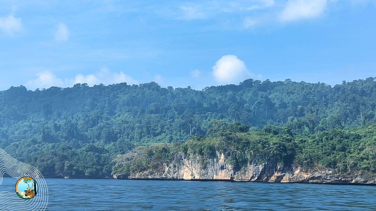 Pulau Nusa Barung: Benteng Keanekaragaman Hayati di Samudra Indonesia - Thumbnail 2