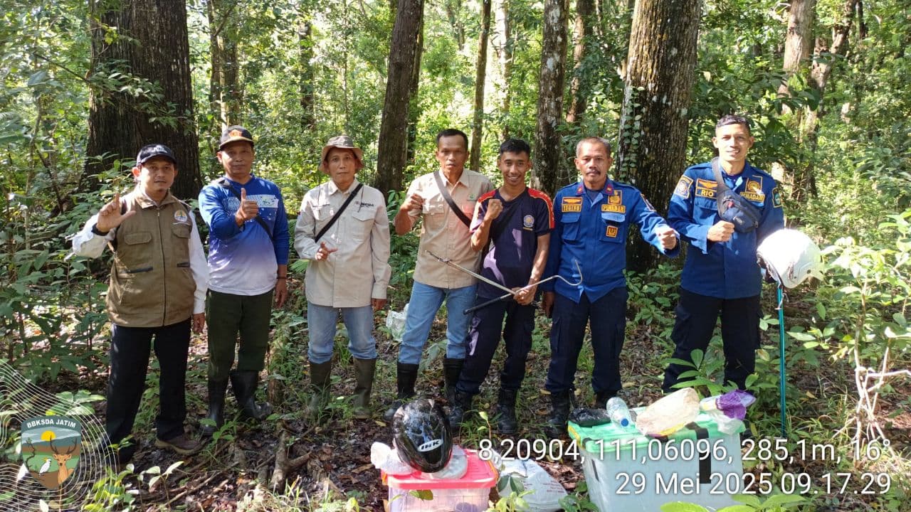 Trenggiling dan Ular-Ular Ini Bikin Geger! Masuki Rumah Warga Di Pacitan