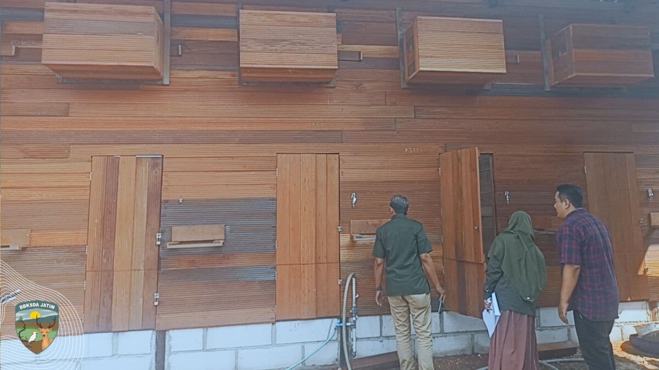 Menangkarkan Bisnis Sayap-Sayap Eksotik