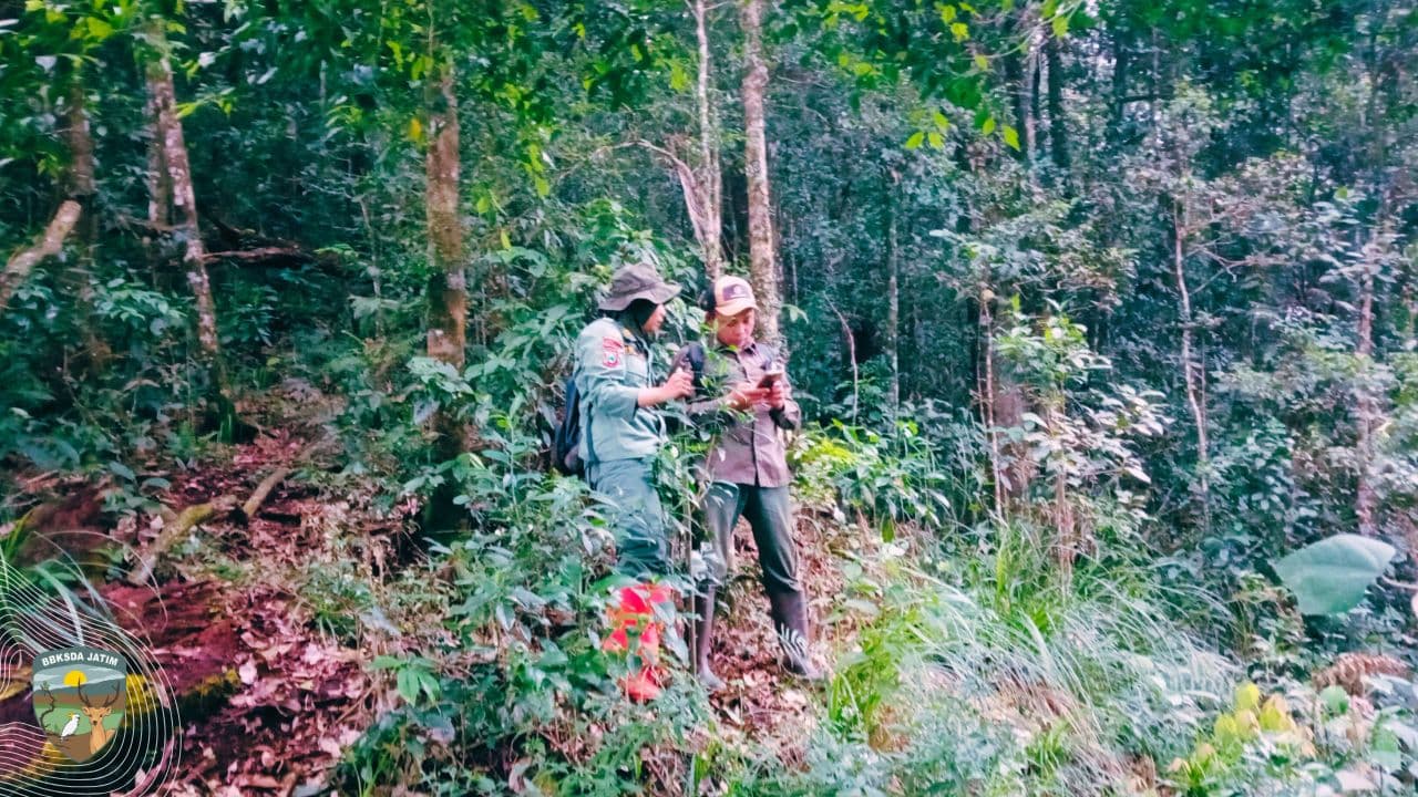 Menembus Hujan, Menapaki Pengabdian di Alas Ireng