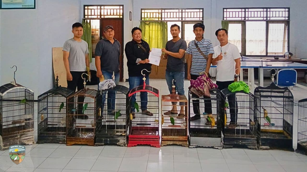Langgar Undang-Undang Nomor 32 Tahun 2024, 14 Cucak Ijo Diamankan