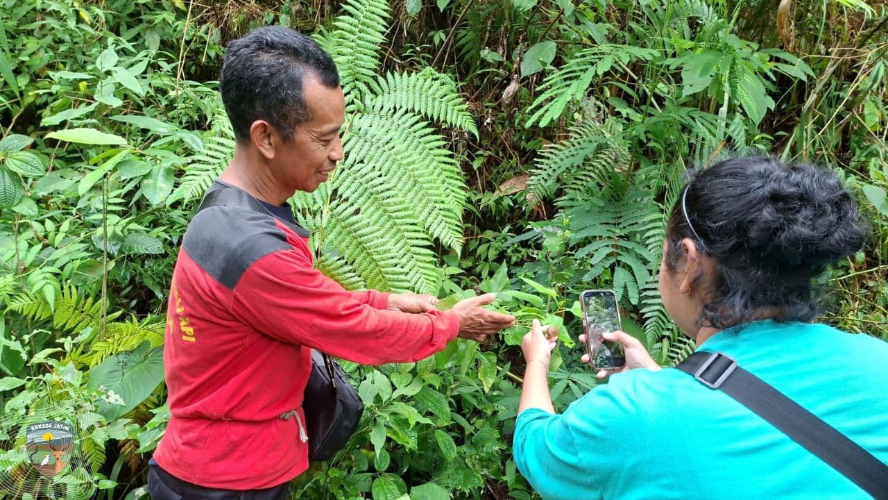 Ketika Menyusuri Hutan, Mencatat Kehidupan, dan Menyaksikan Luka Alam di Jantung Sigogor