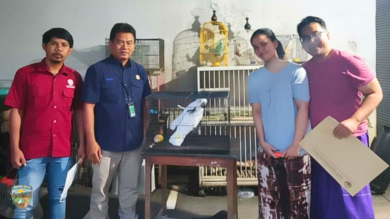 Setelah Tujuh Tahun Dipelihara, Kakatua Dilindungi Akhirnya Diserahkan
