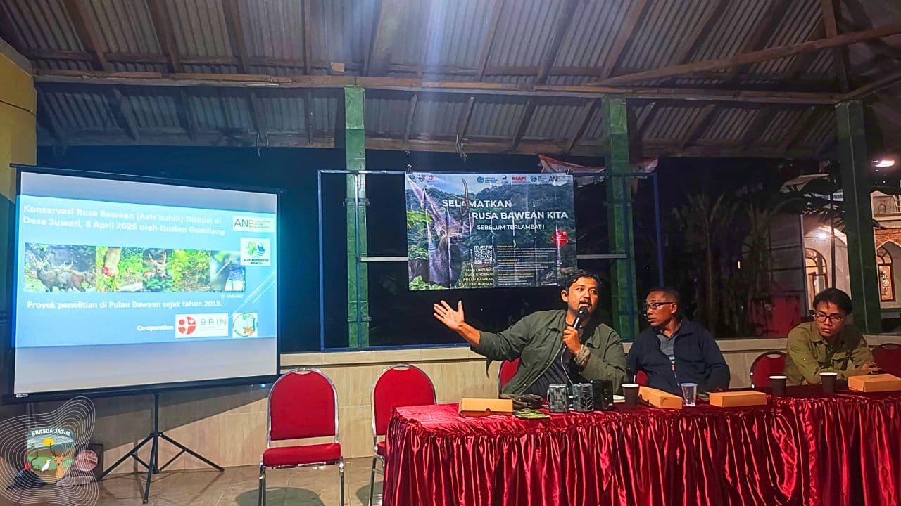 Rusa Bawean dan Ladang Warga, Di Antara Konflik, Harapan, dan Pilihan yang Tak Sederhana