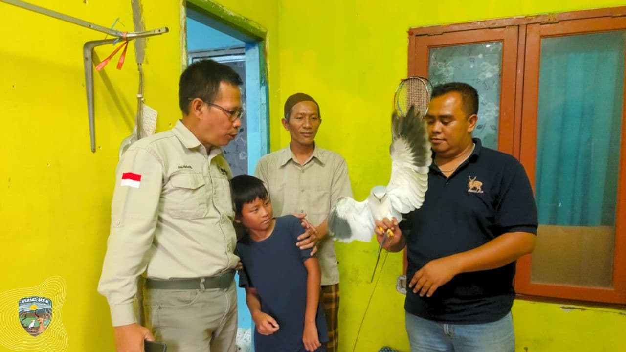 Usia Bukan Ukuran Untuk Peduli, Kisah Bocah 11 Tahun Dan Seekor Elang Terlilit