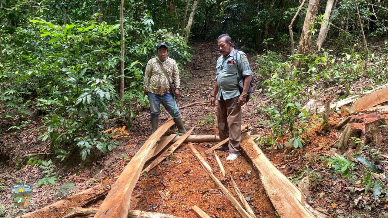 Alarm di Tanah Poteh, Jantung Hutan Bawean