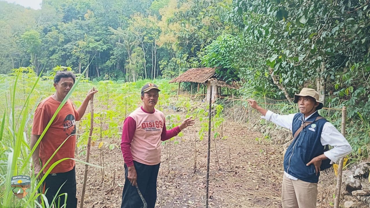 Ketika Satwa Kehilangan Rumahnya, Manusia yang Menanggung Dampaknya
