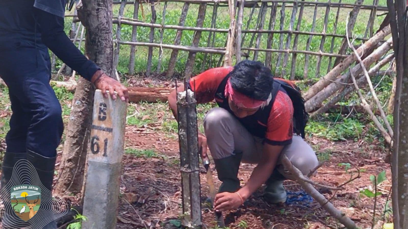 Batas yang Mulai Hilang: Ketika Tiga Penanda Runtuh di Cagar Alam Pulau Saobi