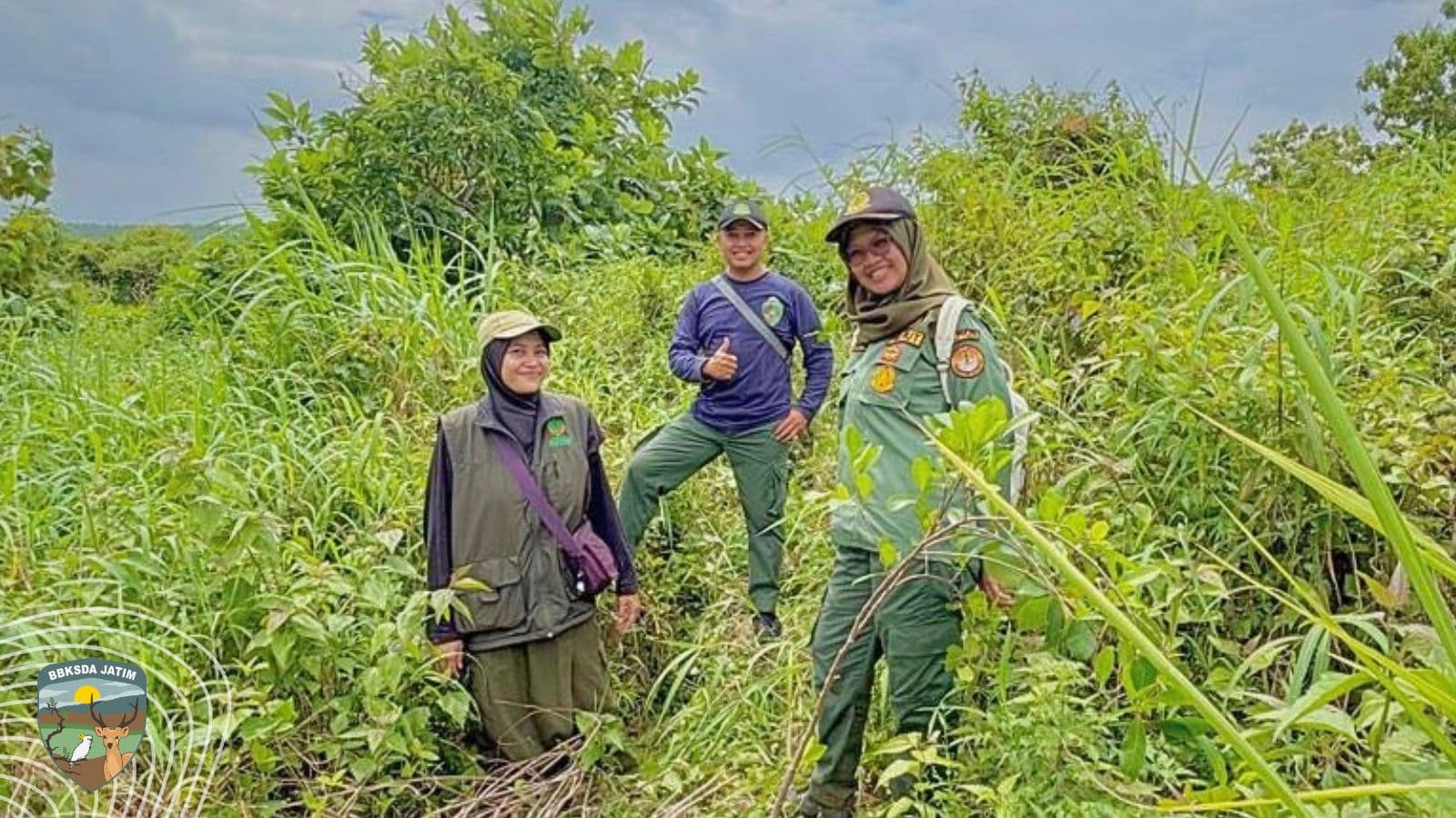 Kartini-Kartini Penjaga Rimba: Mereka Tak Hanya Bertugas, Tapi Saling Menguatkan Menyelamatkan Kehidupan Yang Tak Bersuara