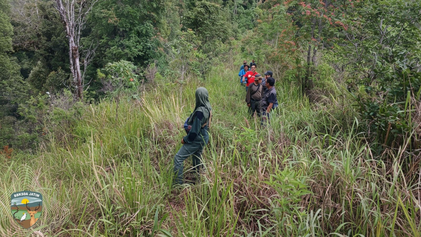 Menyisir Picis, Mencari Jejak yang Tersembunyi, Smart Patrol dan JWLS Mengunci Data Kunci di Hutan Ponorogo