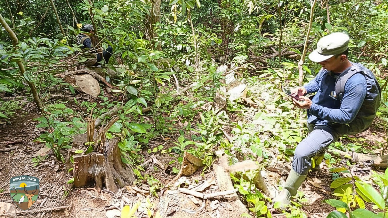 Jejak Yang Tak Hilang, Patroli KSDA Temukan Luka Lama Di Hutan Bawean
