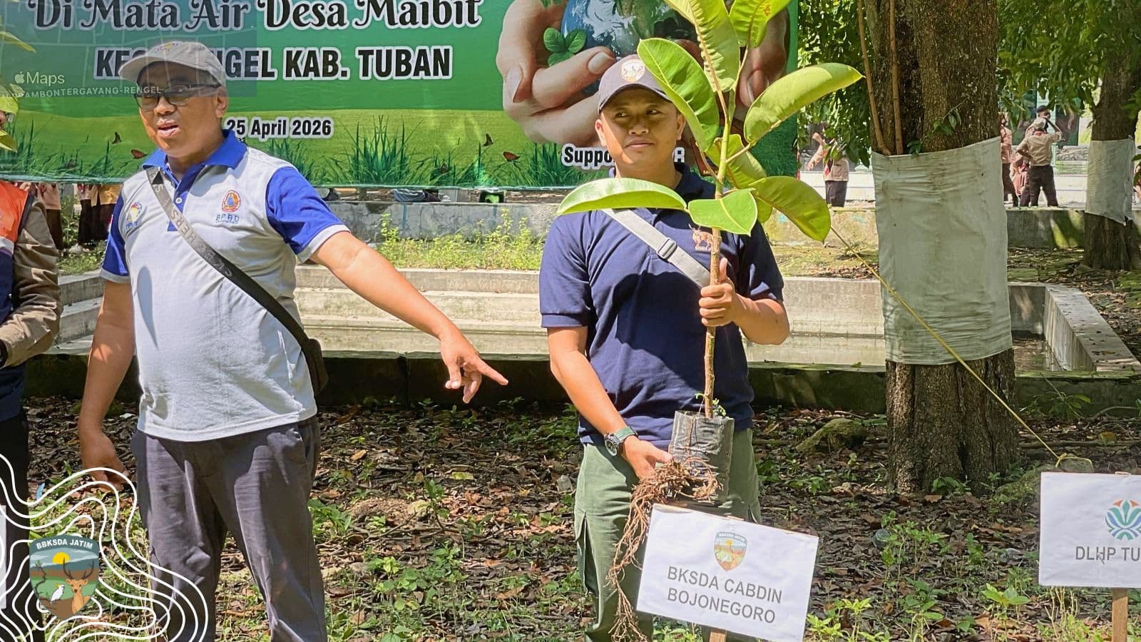 Hari Bumi, Ficus Ditanam, Harapan Ditumbuhkan