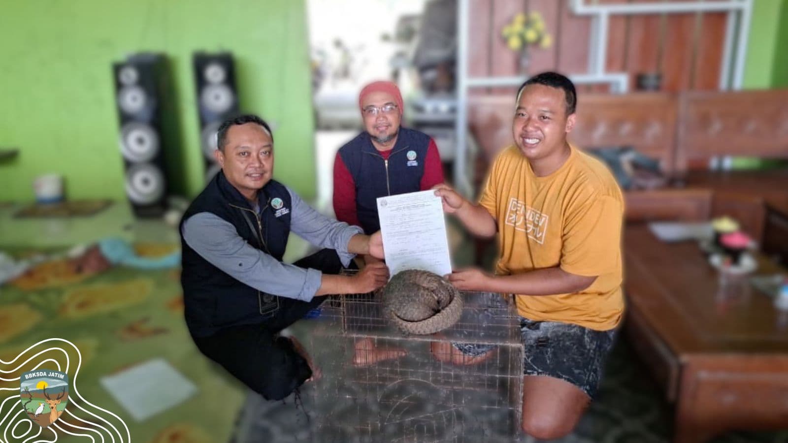 Nyaris Diperdagangkan, Trenggiling Di Kediri Diselamatkan Dalam Hitungan Jam