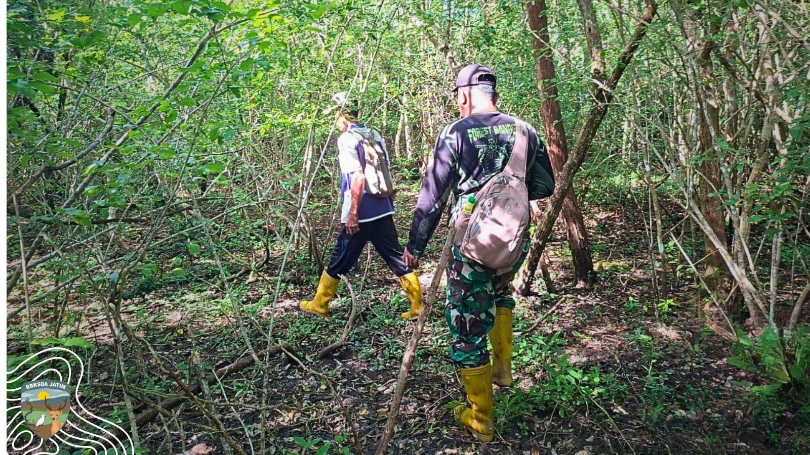 61 Grid Disisir, Denyut Biodiversitas Yang Masih Bertahan Di Pulau Saobi