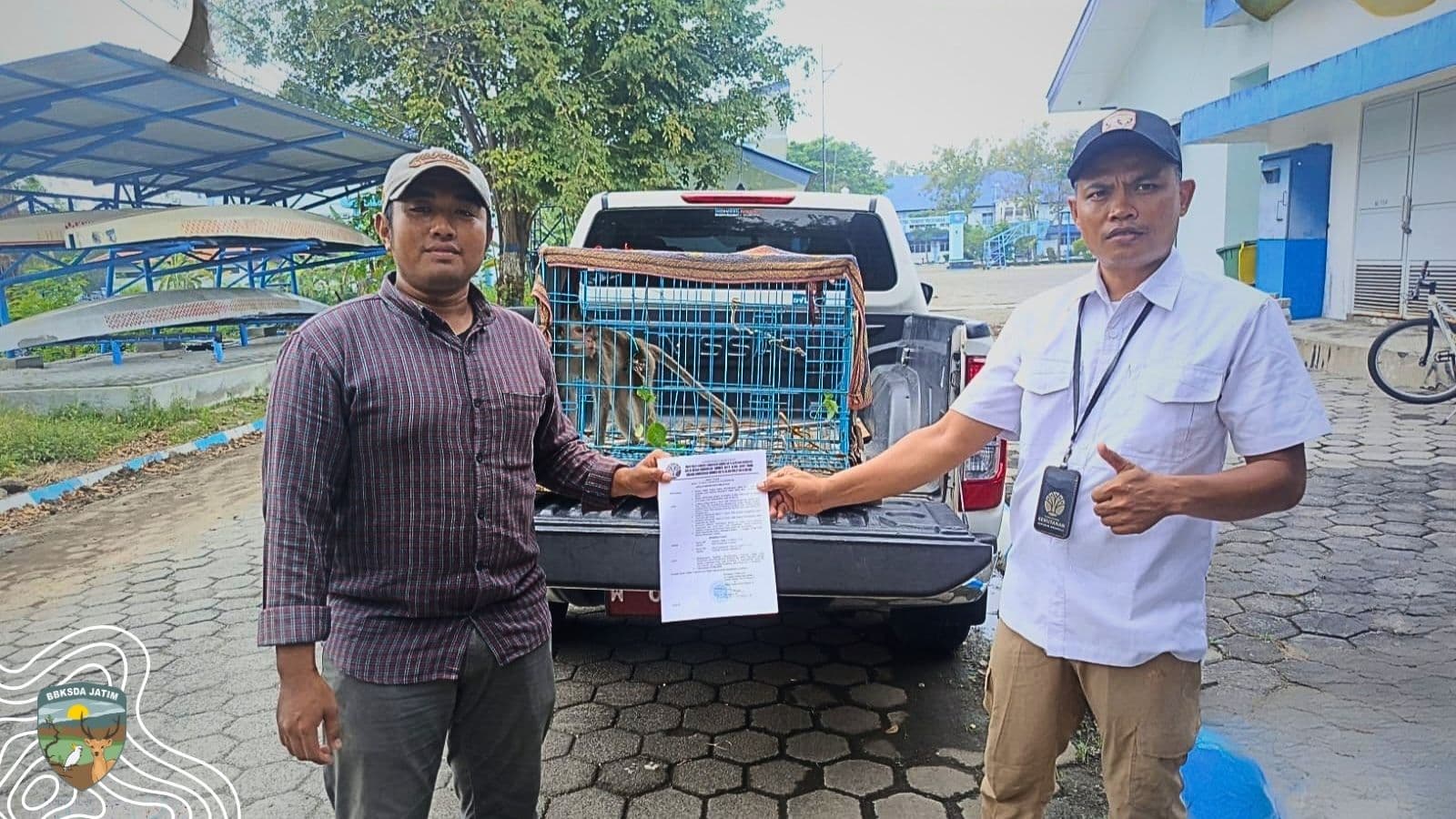 Saat Kesadaran Datang Terlambat, Harapan Seekor Monyet Dari Surabaya Masih Ada