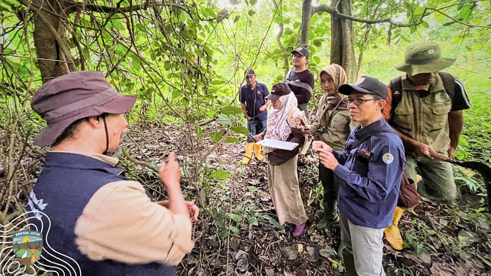 Liana Invasif Menguasai Kanopi, Mencekik Kehidupan di Hutan Manggis Gadungan