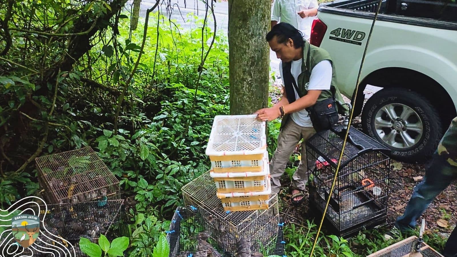 Ketapang Kembali Ungkap Luka Lama: Ratusan Burung Disita, Sebagian Tak Pernah Pulang