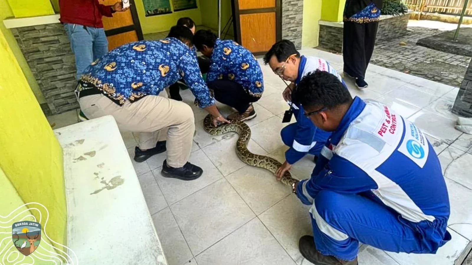 Ladang Minyak ExxonMobil Mencekam, 7 Ular Berhasil Dievakuasi