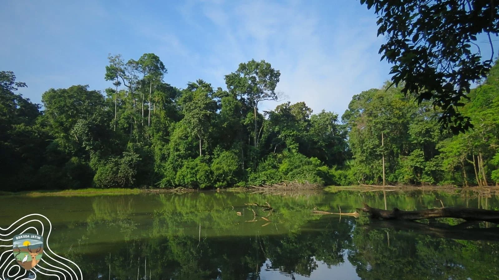 Benteng Sunyi Penopang Kehidupan. Bagaimana Keanekaragaman Hayati Menjaga Jawa Timur dari Krisis Ekologi yang Tak Terlihat ?