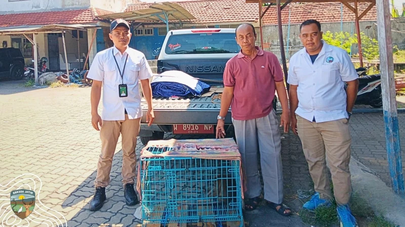 Setelah Lima Tahun Terpenjara di Sudut Kota, Si Monyet Akhirnya Merintis Jalan Pulang