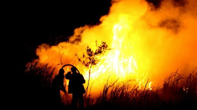 Dapatkah kebakaran hutan di Indonesia diakhiri?