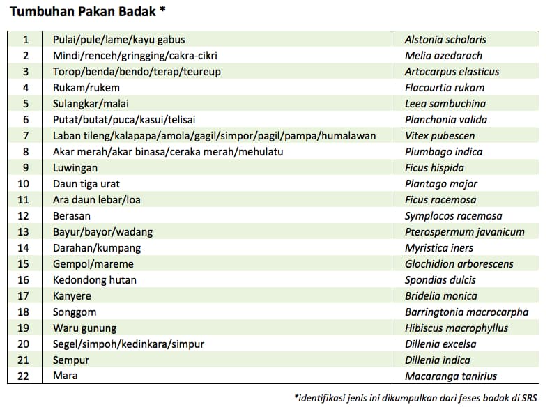 Fakta Menarik, Mengapa Kehidupan Badak Harus Kita Jaga - Thumbnail 1
