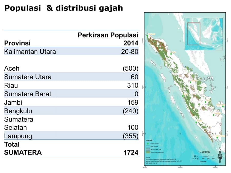 Membunuh Gajah, Menghancurkan Jejak Peradaban Bangsa Indonesia - Thumbnail 2