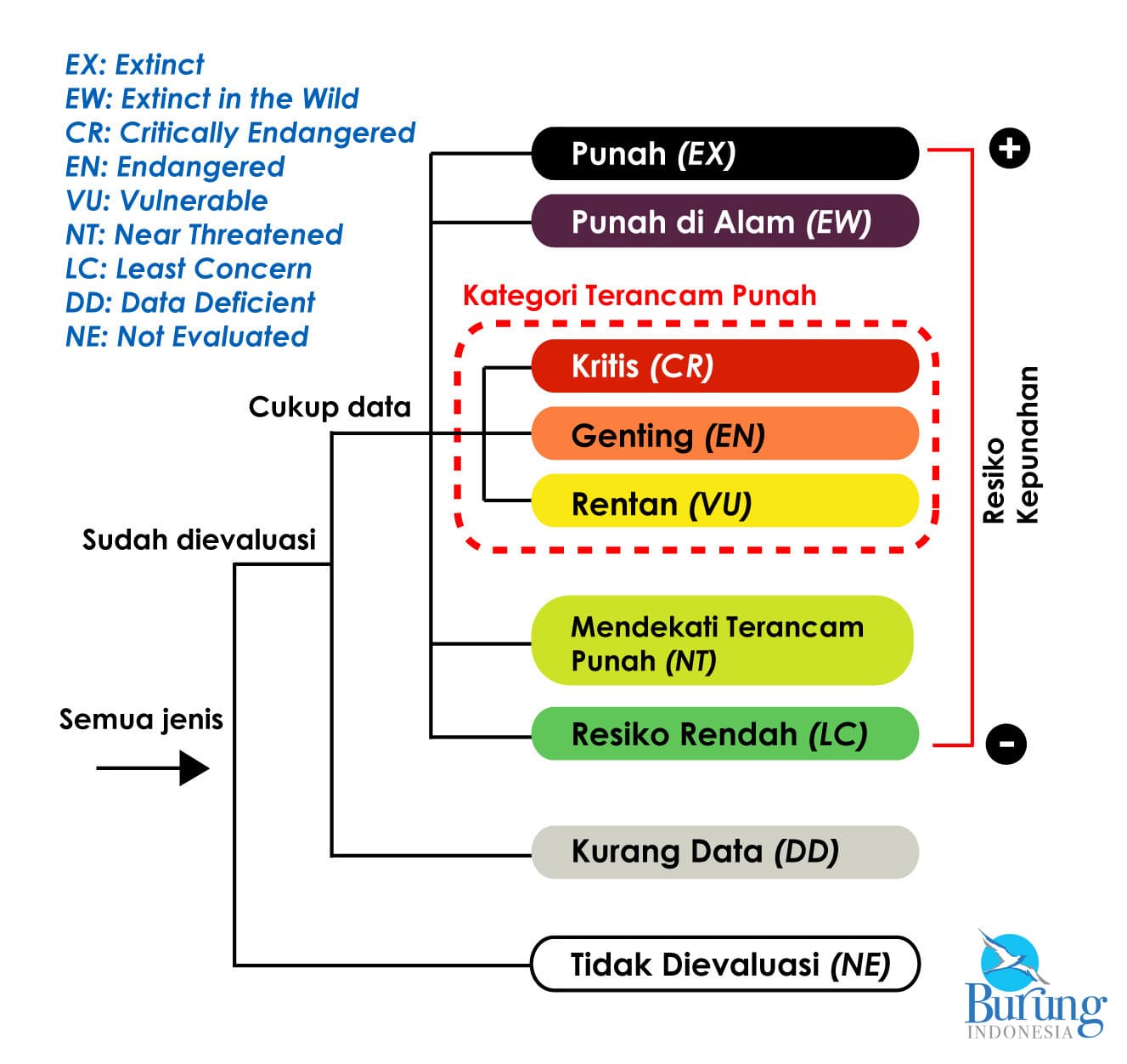 Jenis Bertambah, Ancaman Kehidupan Burung Juga Tak Mau Kalah - Thumbnail 2