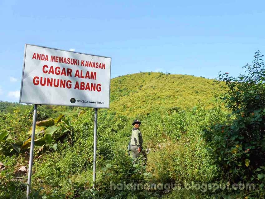 Berapa Indeks Keanekaragaman Tumbuhan Bawah Gunung Abang ? - Thumbnail 1