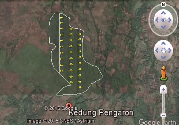 Berapa Indeks Keanekaragaman Tumbuhan Bawah Gunung Abang ?