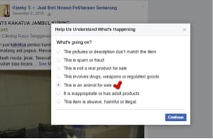 Bagaimana Mengatasi Perdagangan Satwa Liar Dilindungi Yang Tetap Marak ? - Thumbnail 2