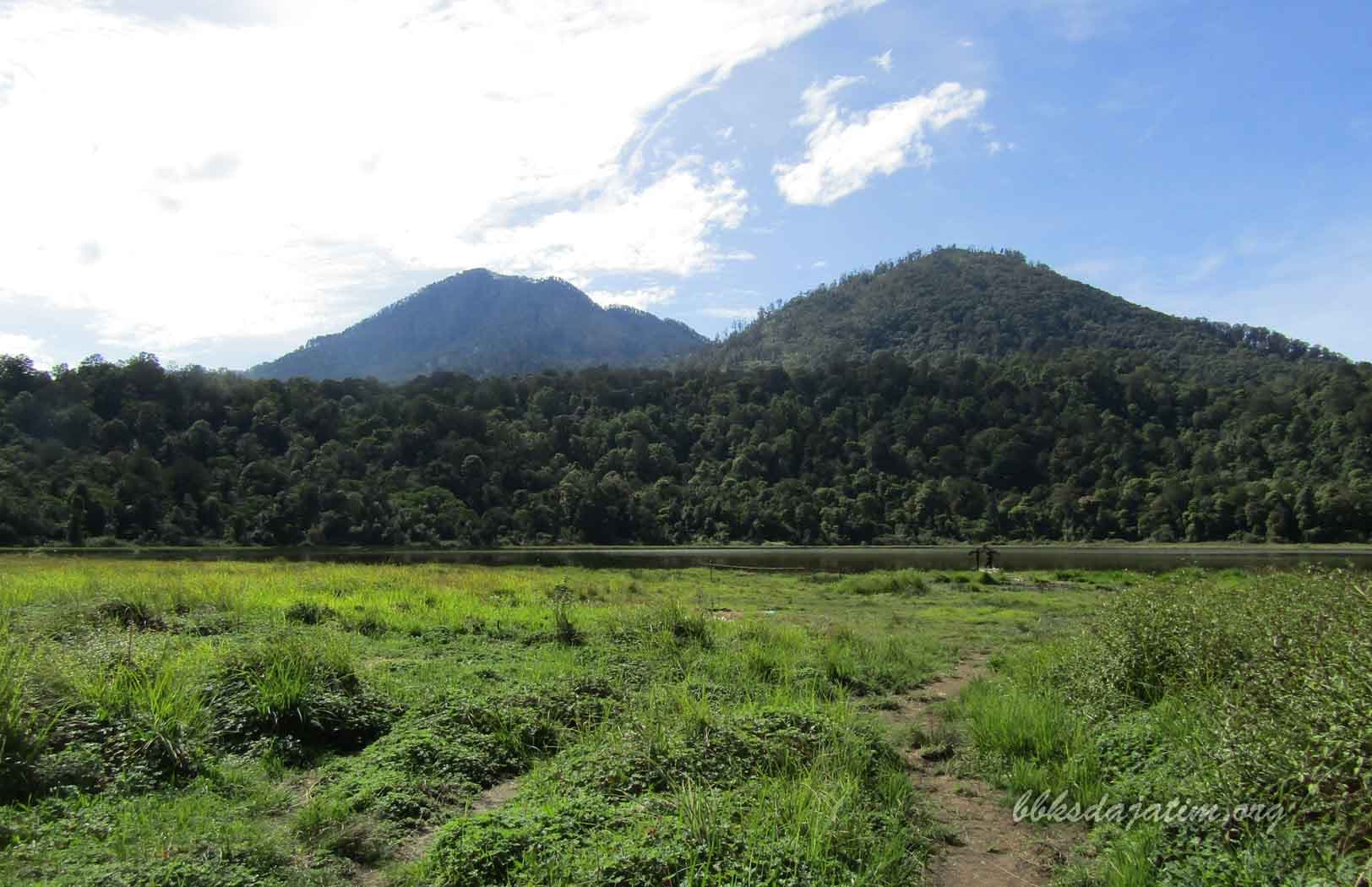 Ayo Liburan Ke Suaka Margasatwa Dataran Tinggi Yang - Thumbnail 1