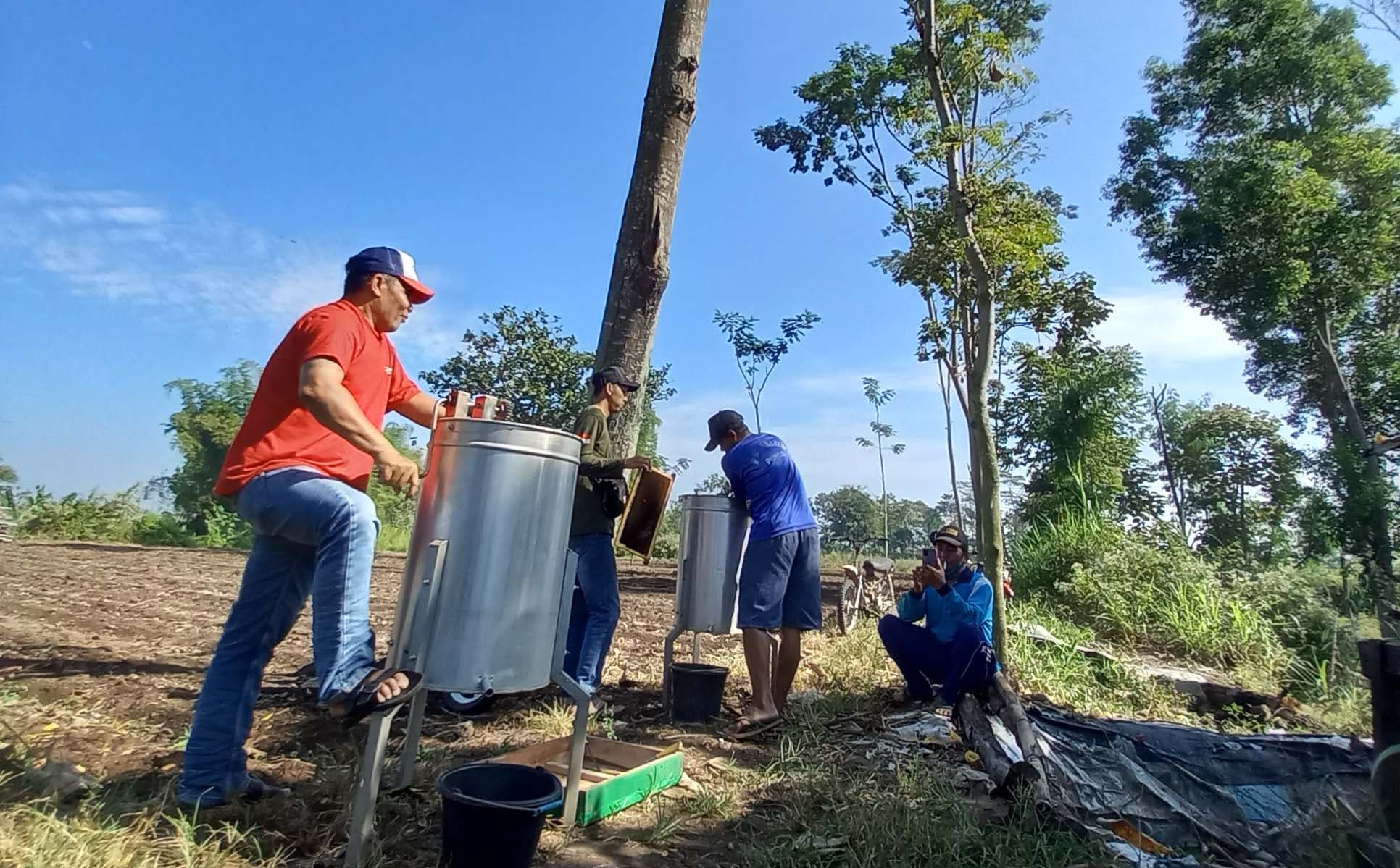 Kebangkitan Madu Asmoro
