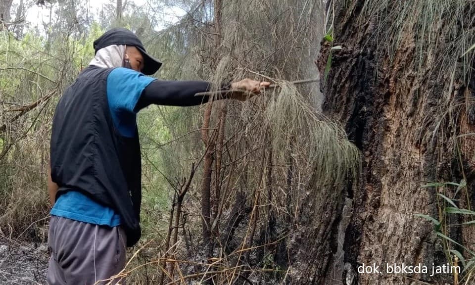 Gercep, Kebakaran Argopuro Padam Dengan Cepat