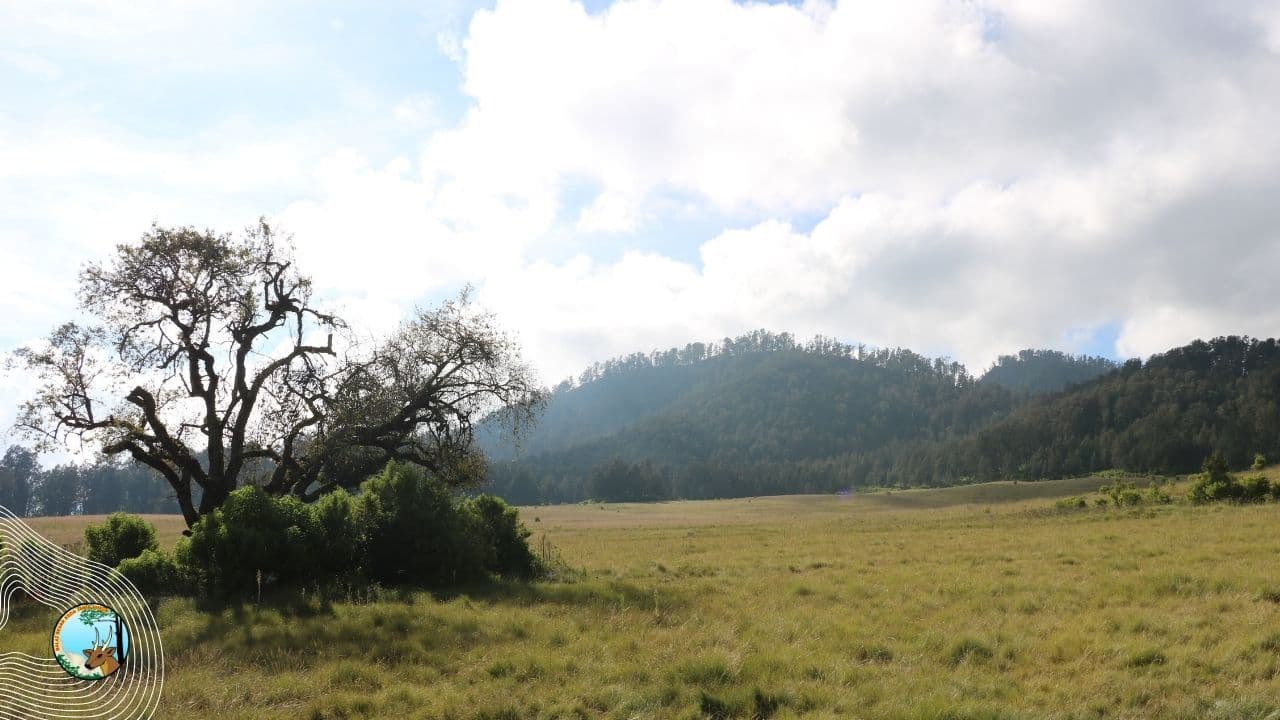 Gunung Argopuro Segera Dibuka