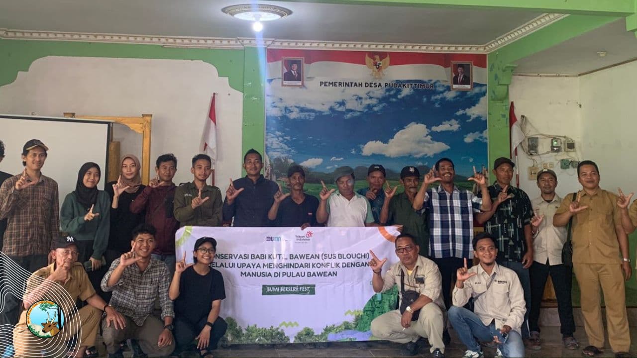 Sosialisasi Babi Kutil, Jembatani Keresahan Masyarakat Bawean