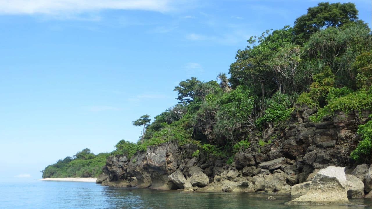 Cagar Alam Pulau Saobi: Permata Alam Sumenep di Utara Pulau Bali - Thumbnail 1
