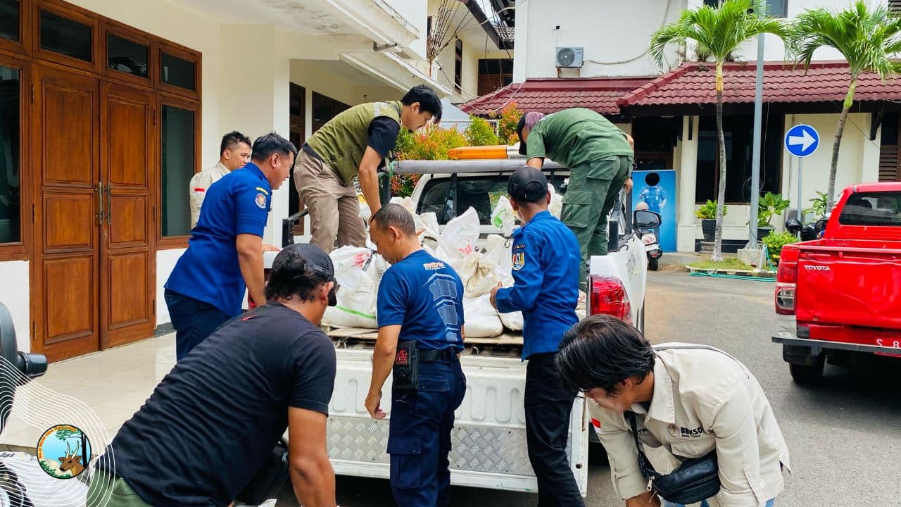 Pancaroba, Petugas Damkar dan BBKSDA Jatim Panen Ular Di Tuban