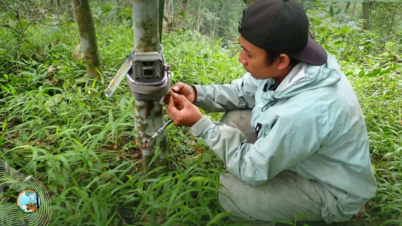 Misteri Alam Liar Raung-Ijen, Kamera Trap Ungkap Jejak Satwa Langka - Thumbnail 1