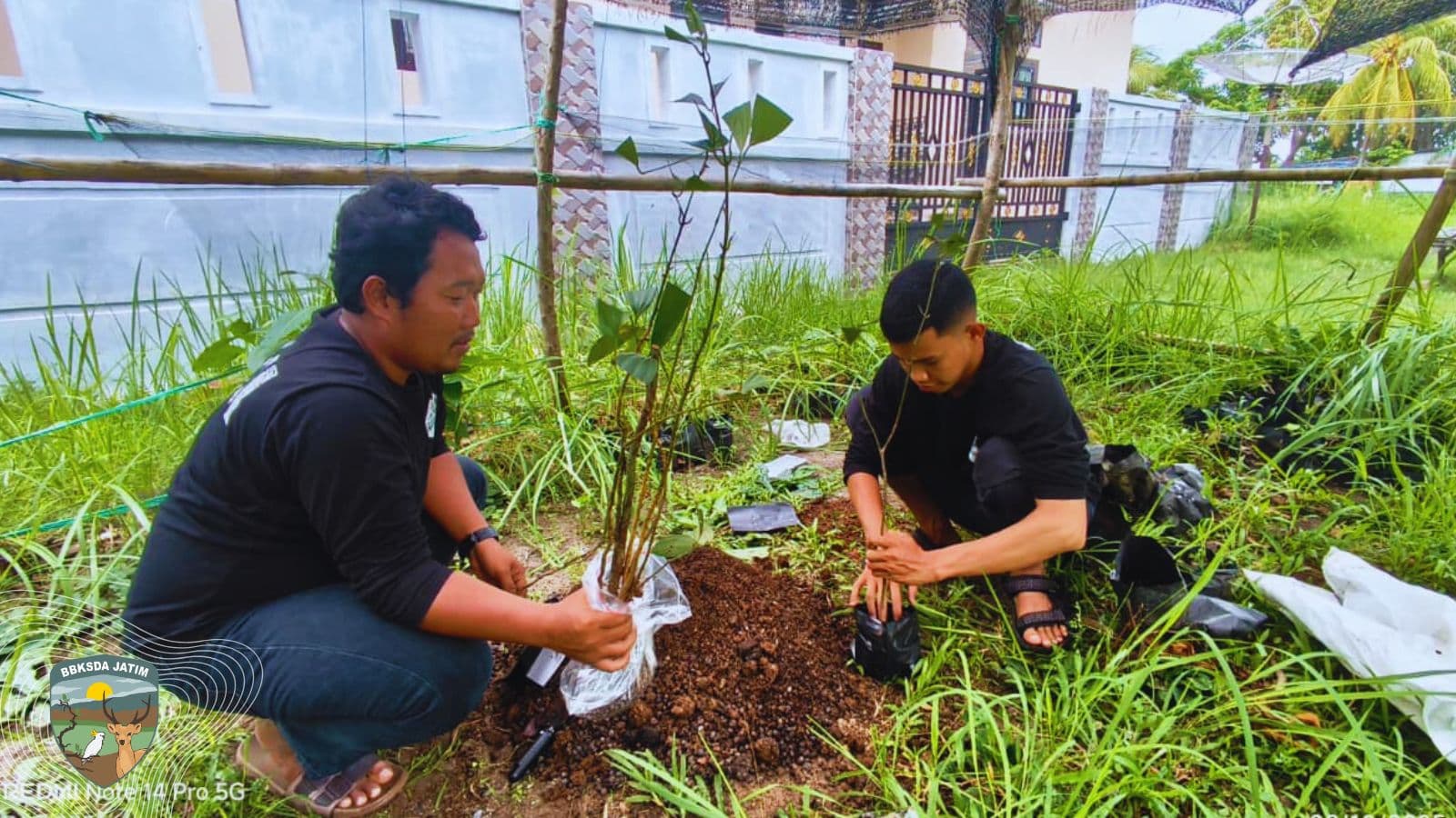 Arboretum Mini di Pulau Bawean, Jejak Hidup dari Rimba yang Dikenang - Thumbnail 1