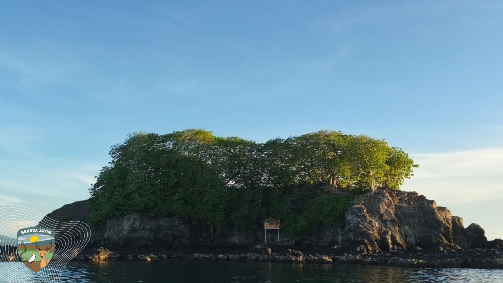 Jejak yang Kita Tanam, Nama yang Kita Jaga, Semangat Baru Konservasi di Pulau Bawean - Thumbnail 1