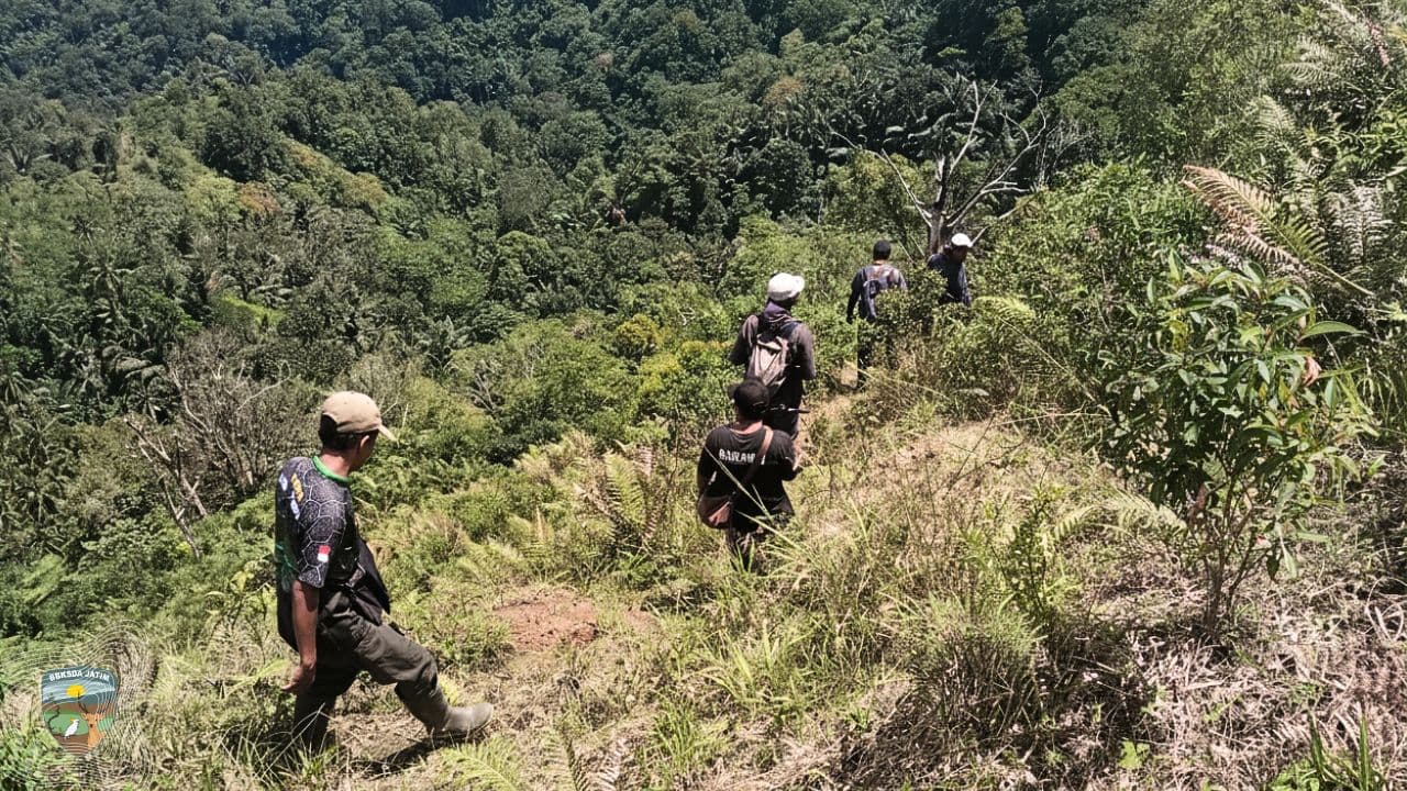 79 Ha yang Bercerita: Apa yang Sebenarnya Ditemukan di Hutan Bawean Akan Membuat Kita Berpikir Ulang