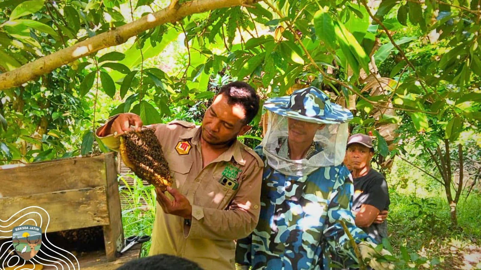 Mutiara Madu, Ketika Perubahan Iklim dan Bencana Menguji Ketangguhan Masyarakat Bawean